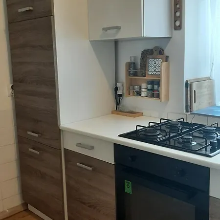 Vintage Apartment Porec